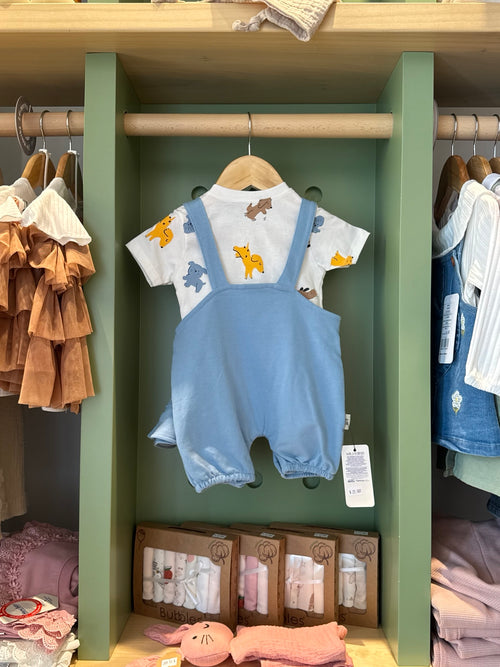 BabyBoy 2pcs Blue Cotton Romper back